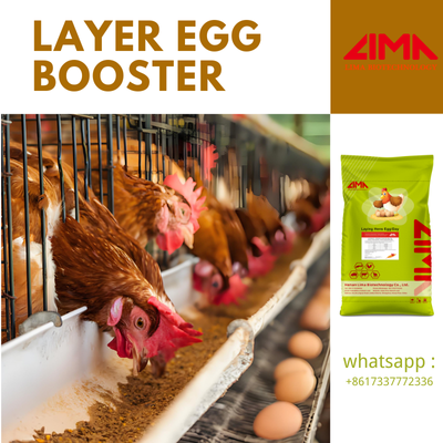 layer egg booster