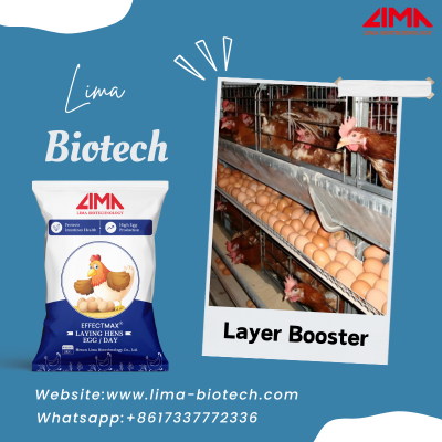 layer egg booster