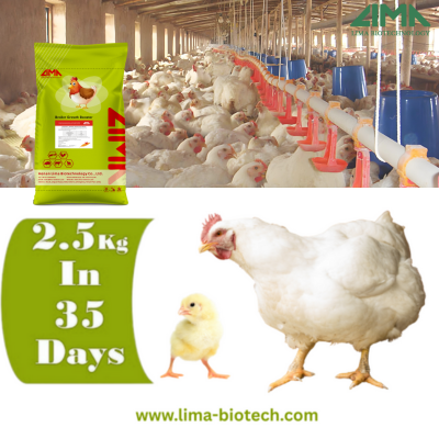 broiler growth booster