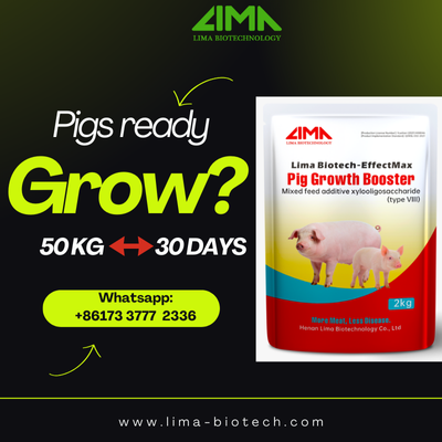 pig growth booster
