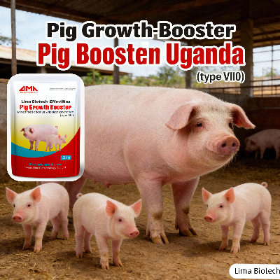 pig growth booster