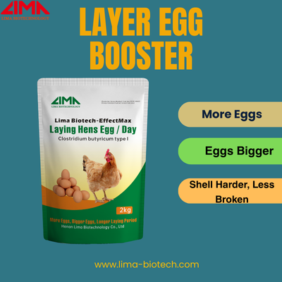 layer egg booster